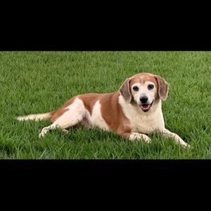 Meet your Posher, Carrie